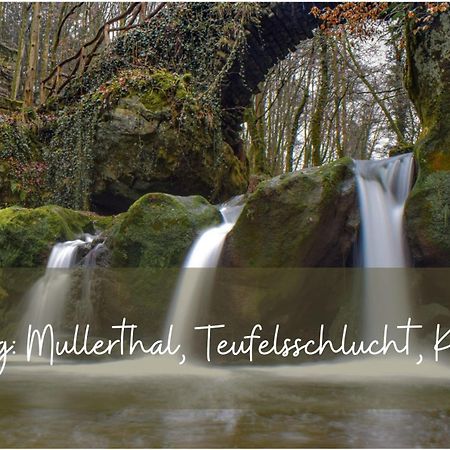 Living-In-History: Historischer Charme Und Design Dudeldorf Екстериор снимка